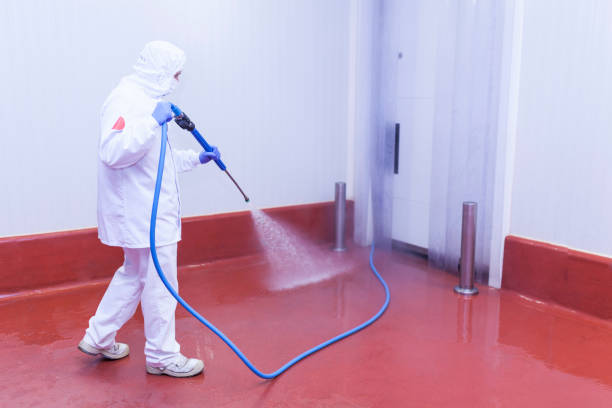 Best Paint Preparation  in Milford, PA